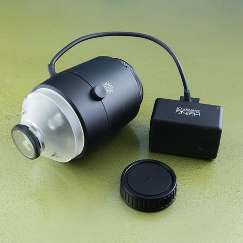 M42 attacco heine - m42,,